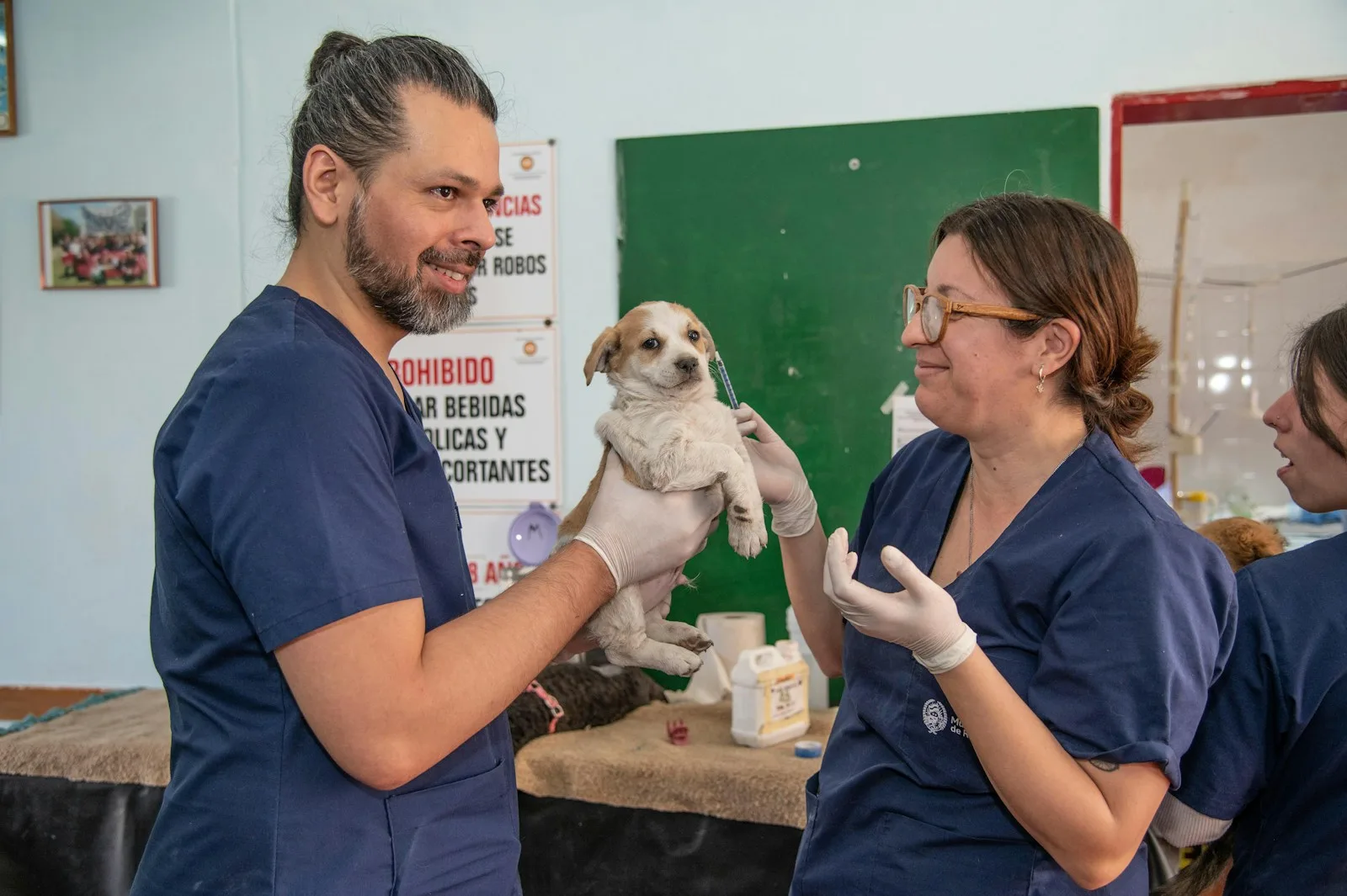 Public Veterinary Dispensary - Southern Animal Health Division