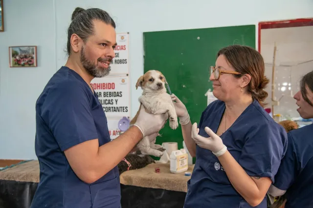 Public Veterinary Dispensary - Southern Animal Health Division